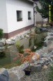 /album/fotogalerie/sdc11239-jpg/